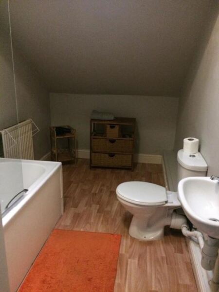 Blenheim Terrace, University