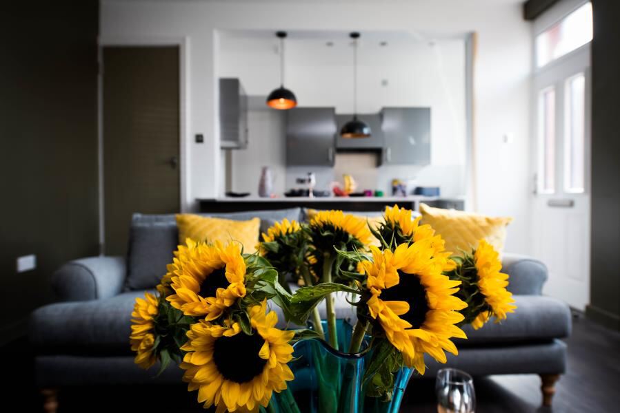 Thornville View, Hyde Park