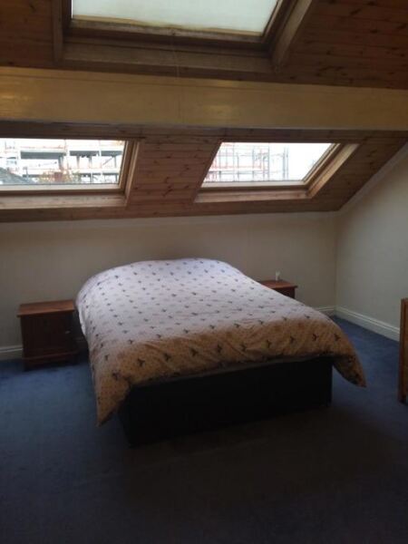 Blenheim Terrace, University