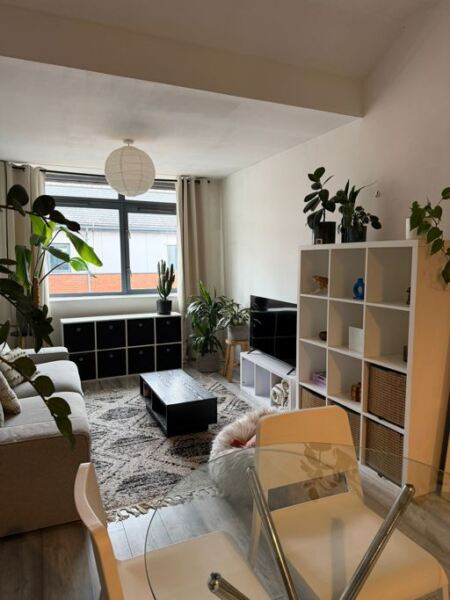 Butcher Street, City Centre